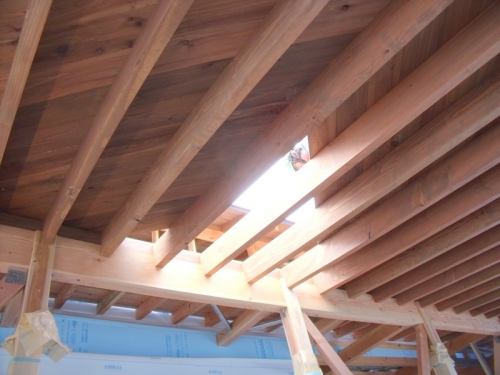 10月10日野地張1